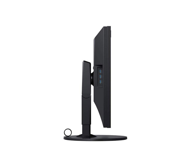Eizo ColorEdge CG319X-BK 4K - 449171 - zdjęcie 7